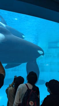 名古屋港水族館に投稿された画像（2025/5/4）