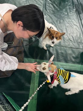 みんな大好き！！ペット王国に投稿された画像（2025/5/4）