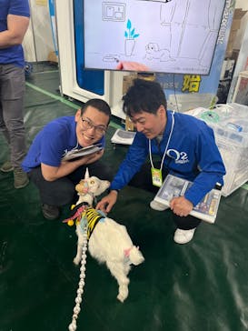 みんな大好き！！ペット王国に投稿された画像（2025/5/4）