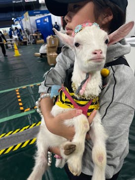 みんな大好き！！ペット王国に投稿された画像（2025/5/4）