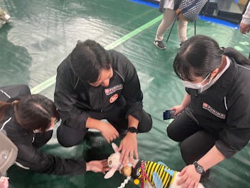 みんな大好き！！ペット王国に投稿された画像（2025/5/4）