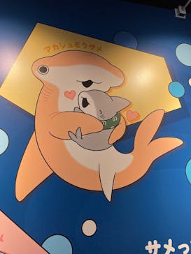 マリンワールド海の中道に投稿された画像（2025/5/4）