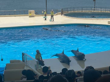 マリンワールド海の中道に投稿された画像（2025/5/4）