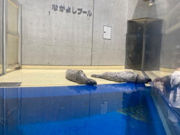 島根県立 しまね海洋館に投稿された画像（2025/5/4）