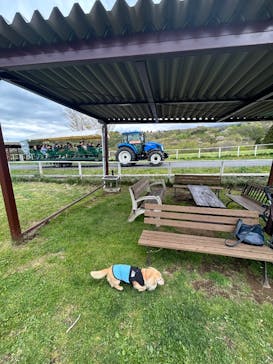 那須どうぶつ王国に投稿された画像（2025/5/4）