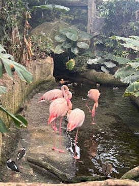 那須どうぶつ王国に投稿された画像（2025/5/4）