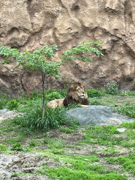 日立市かみね動物園に投稿された画像（2025/5/4）