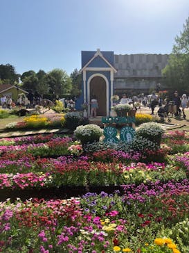 ムーミンバレーパークに投稿された画像（2025/5/4）