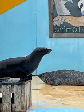 東武動物公園に投稿された画像（2025/5/4）