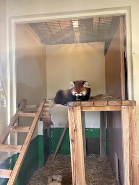 東武動物公園に投稿された画像（2025/5/4）