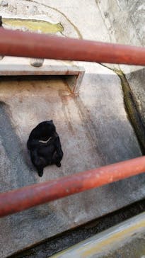 奥飛騨クマ牧場に投稿された画像（2025/5/4）