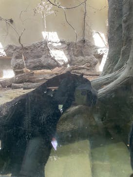 名古屋市東山動植物園に投稿された画像（2025/5/4）