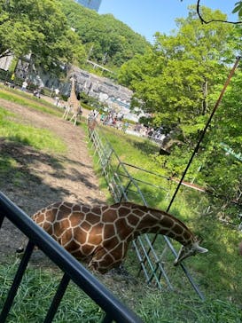名古屋市東山動植物園に投稿された画像（2025/5/4）