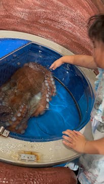 越前松島水族館に投稿された画像（2025/5/4）
