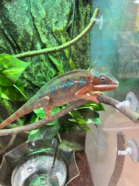 いきもの探検隊上尾に投稿された画像（2025/5/4）