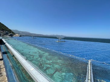 大分マリーンパレス水族館 「うみたまご」に投稿された画像（2025/5/4）