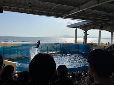 新江ノ島水族館に投稿された画像（2025/5/4）