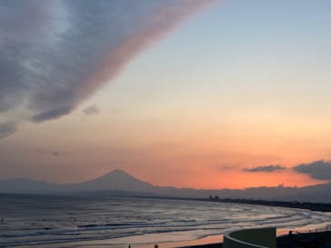 新江ノ島水族館に投稿された画像（2025/5/4）
