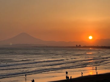 新江ノ島水族館に投稿された画像（2025/5/4）