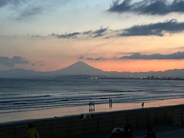 新江ノ島水族館に投稿された画像（2025/5/4）