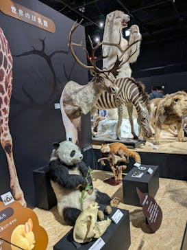  うんち展　-No UNCHI, No LIFE-に投稿された画像（2025/5/4）