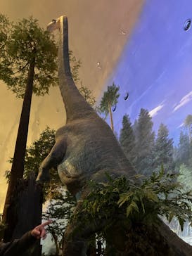 福井県立恐竜博物館に投稿された画像（2025/5/4）