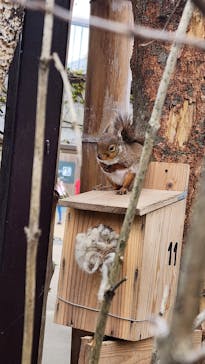 那須どうぶつ王国に投稿された画像（2025/5/4）