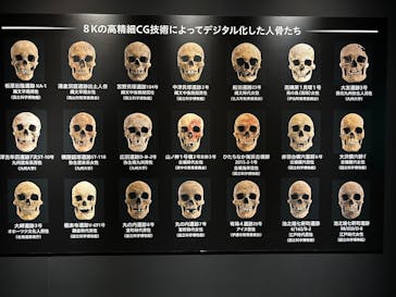 特別展「古代DNA－日本人のきた道」（国立科学博物館）に投稿された画像（2025/5/4）