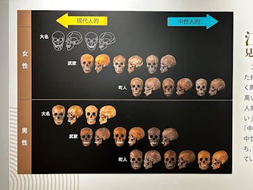 特別展「古代DNA－日本人のきた道」（国立科学博物館）に投稿された画像（2025/5/4）