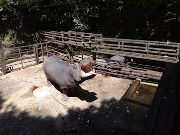 長崎バイオパークに投稿された画像（2025/5/4）