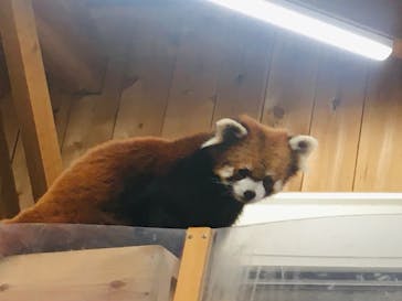 伊豆シャボテン動物公園に投稿された画像（2025/5/4）