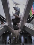 福井県立恐竜博物館に投稿された画像（2025/5/4）