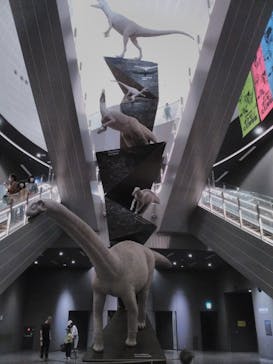 福井県立恐竜博物館に投稿された画像（2025/5/4）