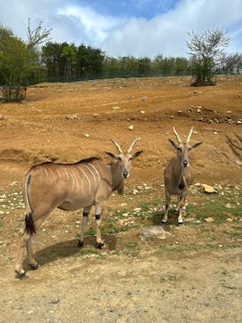 東北サファリパークに投稿された画像（2025/5/4）
