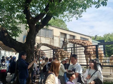 宇都宮動物園に投稿された画像（2025/5/4）