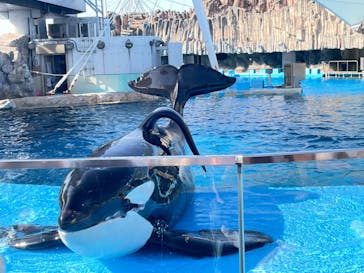 名古屋港水族館に投稿された画像（2025/5/4）