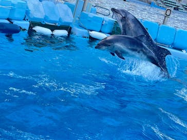 名古屋港水族館に投稿された画像（2025/5/4）