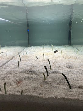 AOAO SAPPOROに投稿された画像（2025/5/4）