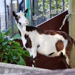 沖縄こどもの国に投稿された画像（2025/5/4）