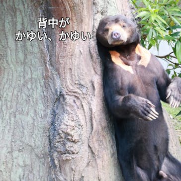 沖縄こどもの国に投稿された画像（2025/5/4）