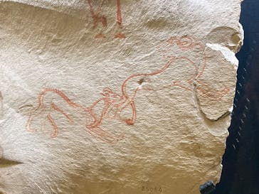 ACN ラムセス大王展 ファラオたちの黄金に投稿された画像（2025/5/4）