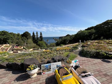 ニューヨークランプミュージアム＆フラワーガーデンに投稿された画像（2025/5/4）