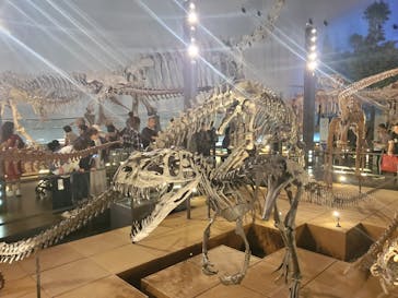 福井県立恐竜博物館に投稿された画像（2025/5/4）