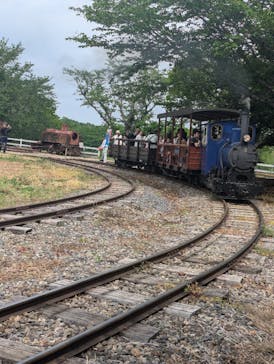 成田ゆめ牧場に投稿された画像（2025/5/4）