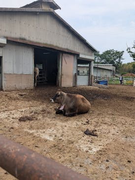 成田ゆめ牧場に投稿された画像（2025/5/4）