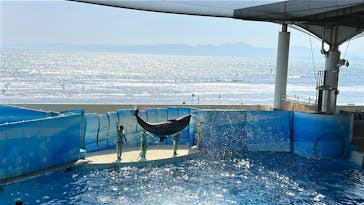 新江ノ島水族館に投稿された画像（2025/5/4）