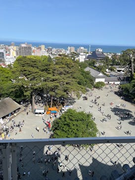 小田原城に投稿された画像（2025/5/4）