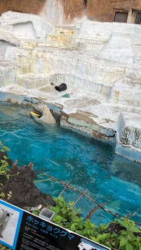 天王寺動物園に投稿された画像（2025/5/4）