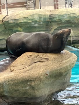 天王寺動物園に投稿された画像（2025/5/4）