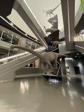 福井県立恐竜博物館に投稿された画像（2025/5/4）